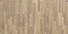 Паркетная доска Focus Floor трехполосная Ясень Кантри матовый лак (Ash Mistral White Matt 3S) (3,41 м²)